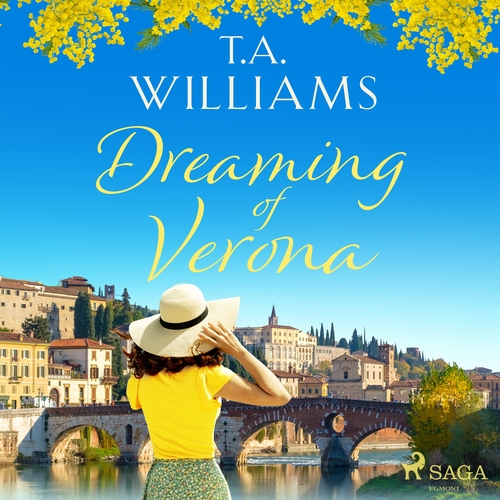 Kniha Saga Egmont Dreaming of Verona (EN)