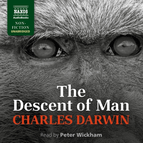 Kniha Naxos Audiobooks The Descent of Man (EN)