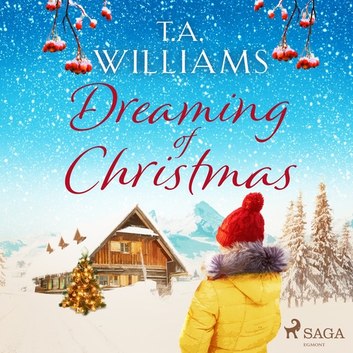 Kniha Saga Egmont Dreaming of Christmas (EN)
