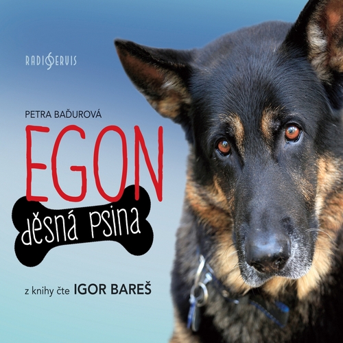 Radioservis EGON: Děsná psina