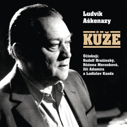 Kůže
