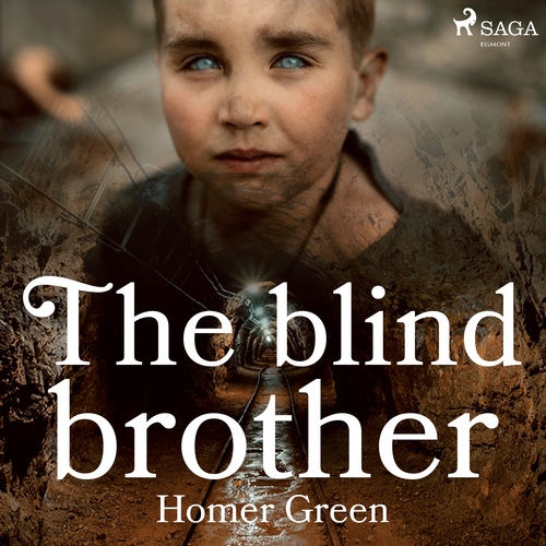 Kniha Saga Egmont The Blind Brother (EN)