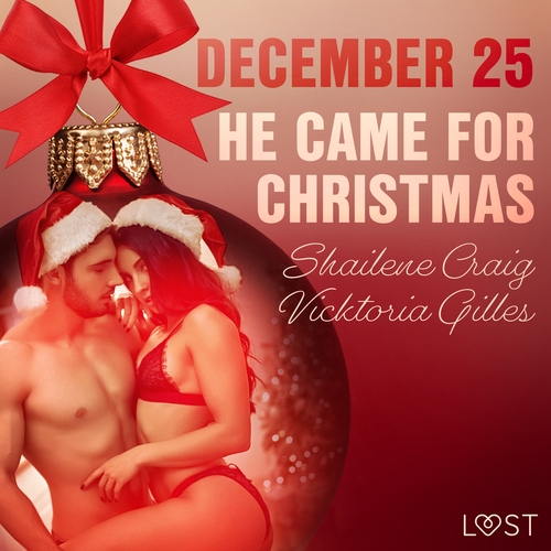 Kniha Saga Egmont December 25: He Came for Christmas - An Erotic Christmas Calendar (EN)