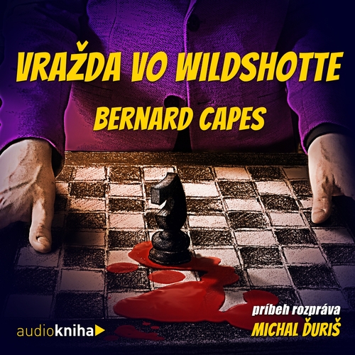Kniha 582 s.r.o. Vražda vo Wildshote