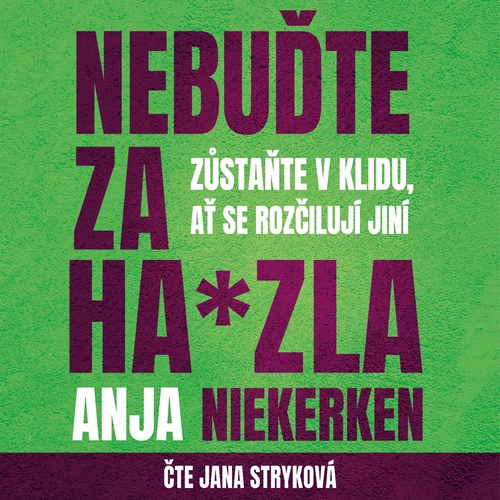 Kniha DOBROVSKÝ s.r.o. Nebuďte za hajzla