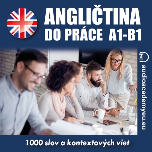 Kniha Audioacademyeu Angličtina do práce A1-B1