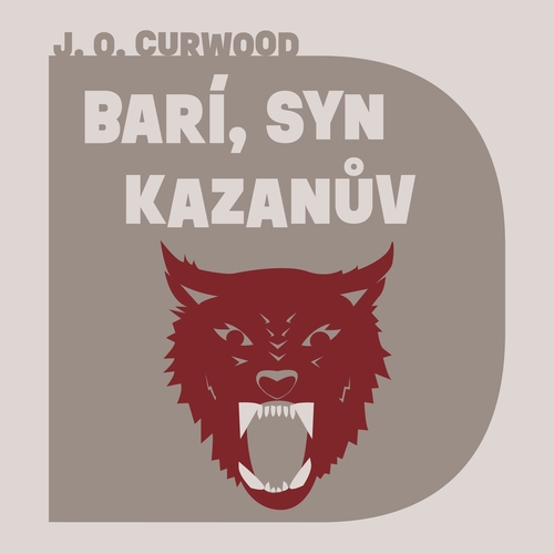 Kniha Tympanum Barí, syn Kazanův