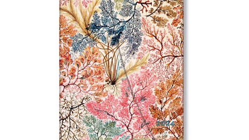 Diár 2024 Anemone Midi HOR Paperblanks