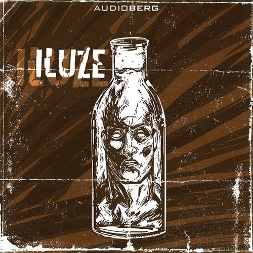 Kniha Audioberg Iluze