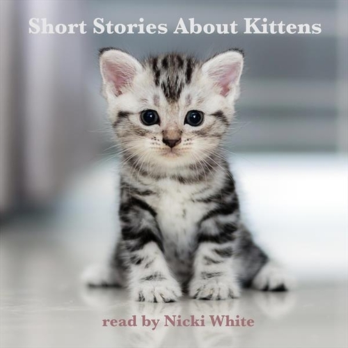 Kniha Lark Audiobooks Short Stories About Kittens (EN)