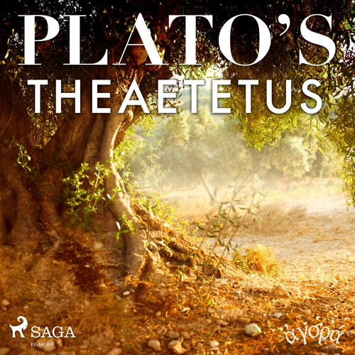 Saga Egmont Plato’s Theaetetus (EN)