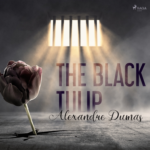 Kniha Saga Egmont The Black Tulip (EN)