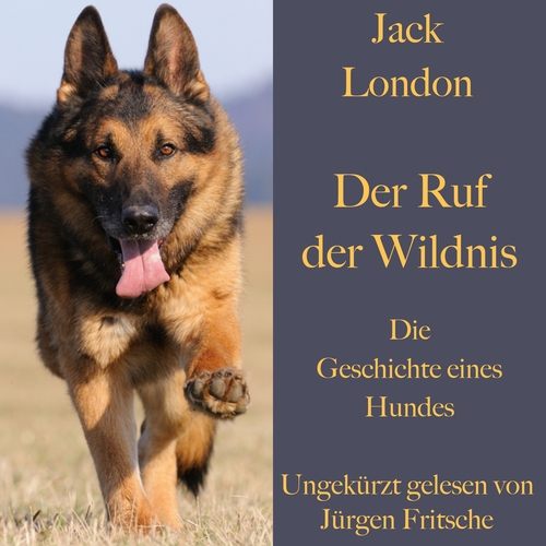 BÄNG Management & Verlag Der Ruf der Wildnis (DE)