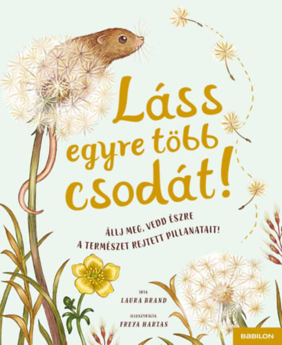 Kniha Láss egyre több csodát! - Állj meg, vedd észre a természet rejtett pillanatait! - Laura Brand