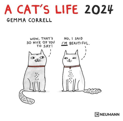 Nástenný kalendár Neumann 2024 A Cat´s Life kalendár