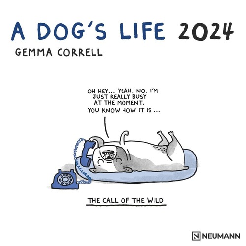 Nástenný kalendár Neumann 2024 A Dog´s Life kalendár