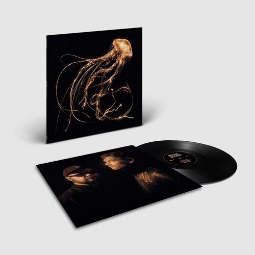 Kniha Royal Blood - Back To The Water Below LP