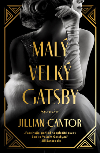 Kniha Malý velký Gatsby - Jillian Cantorová