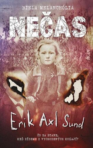 Kniha Nečas - Erik Axl Sund