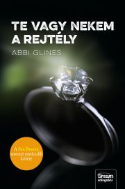 Kniha Te vagy nekem a rejtély - Abbi Glines