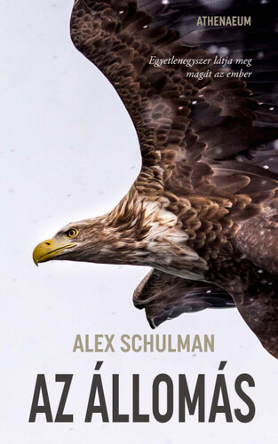 Kniha Az állomás - Alex Schulman,Péter Papolczy