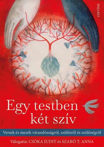 Kniha Egy testben két szív - Judit Csóka,Anna T. Szabó