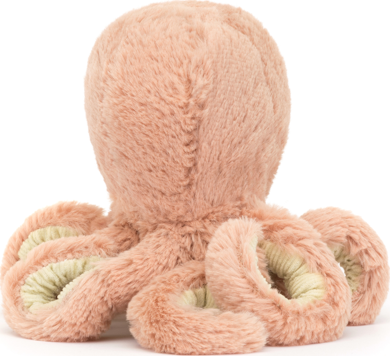 SET Fearless Octopus
