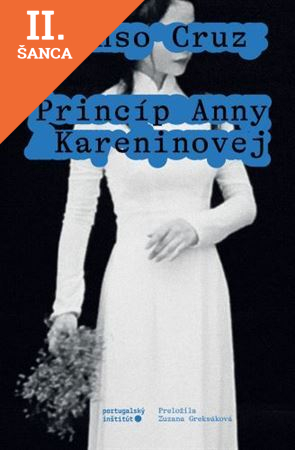 Lacná kniha Princíp Anny Kareninovej