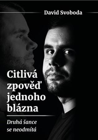 Kniha Citlivá zpověď jednoho blázna - David Svoboda