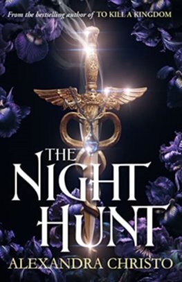 Kniha The Night Hunt