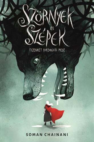 Kniha Szörnyek és Szépek - Soman Chainani,Ágota Bozai