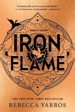 Kniha Iron Flame