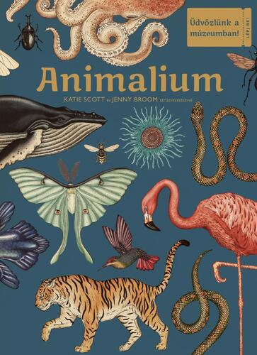 Animalium – Üdvözlünk a múzeumban! - Jenny Broom