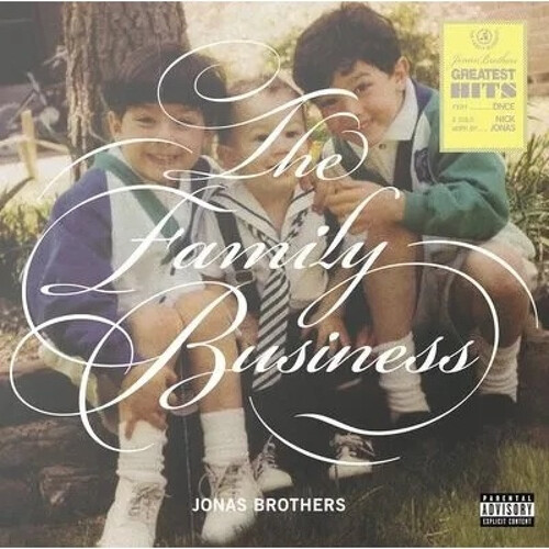 Kniha Jonas Brothers - The Family Business CD