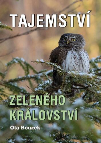 Kniha Tajemství zeleného království