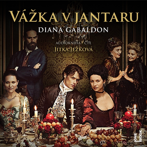 OneHotBook Vážka v jantaru