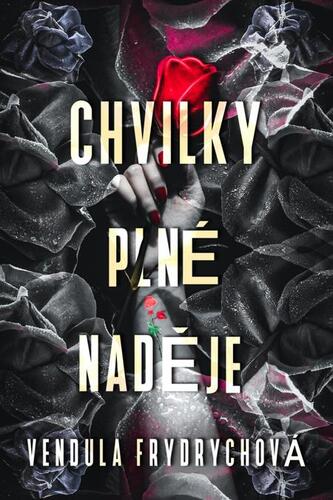 Kniha Chvilky plné naděje - Vendula Frydrychová