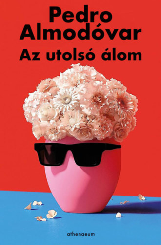 Kniha Az utolsó álom - Pedro Almodóvar