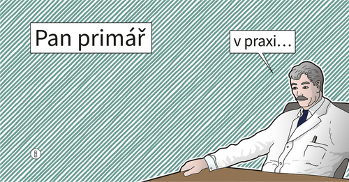 Kniha Pan primář v praxi...