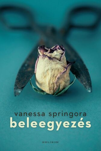 Kniha Beleegyezés - Vanessa Springora