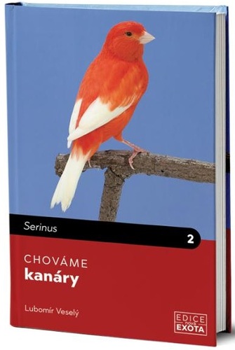 Chováme kanáry kúpite na Panta Rhei