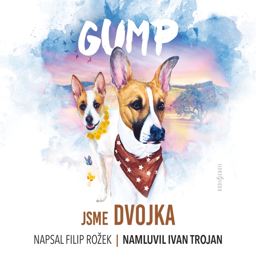 Kniha Radioservis GUMP – jsme dvojka