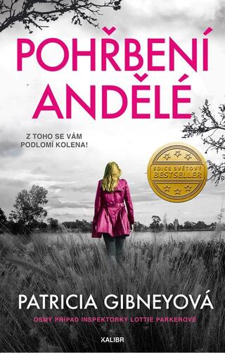 Kniha Pohřbení andělé - Patricia Gibney