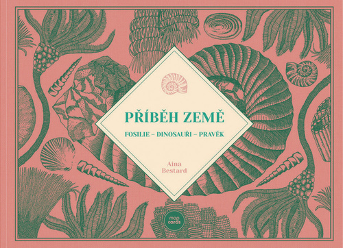 Kniha Příběh Země - Fosilie, Dinosauři, Pravěk