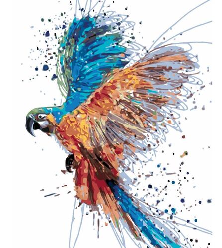 Maľovanie podľa čísel Farebný papagáj 40x50cm Zuty