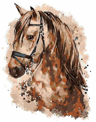 Maľovanie podľa čísel Hnedý kôň 40x50cm Zuty