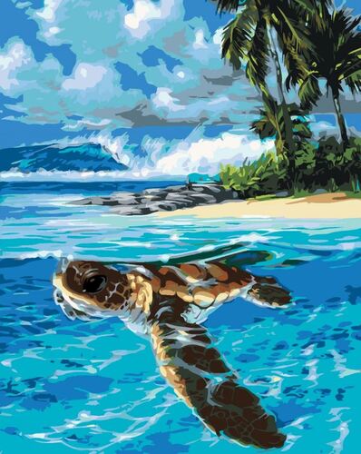 Maľovanie podľa čísel Morská korytnačka 40x50cm Zuty