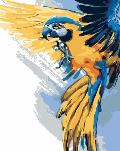 Maľovanie podľa čísel Papagáj 40x50cm Zuty
