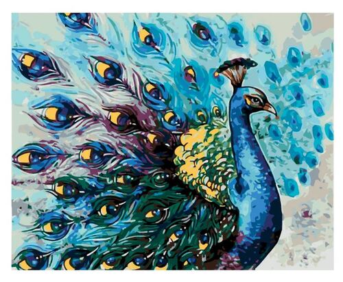 Maľovanie podľa čísel Páv 40x50cm Zuty