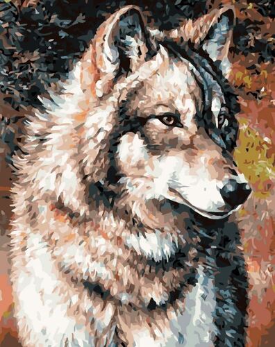 Maľovanie podľa čísel Portrét vlka 40x50cm Zuty